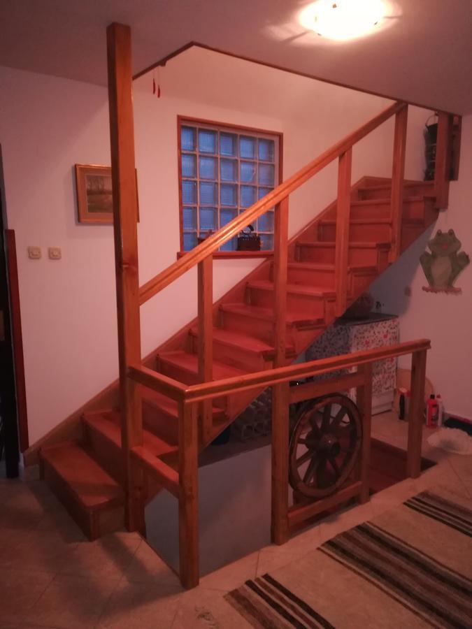 Villa Natali Donji Babin Potok 외부 사진