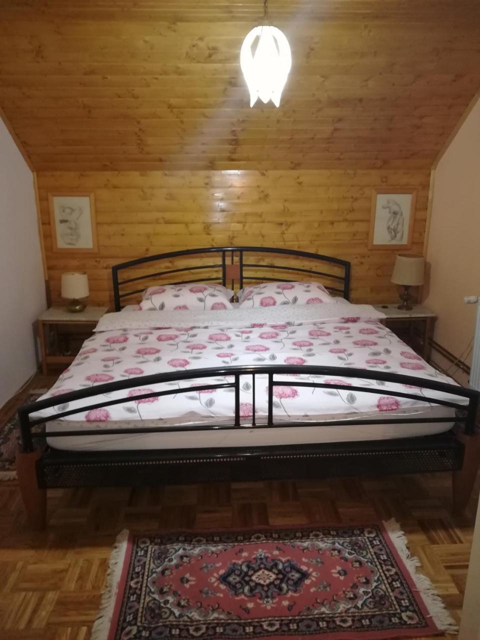 Villa Natali Donji Babin Potok 외부 사진
